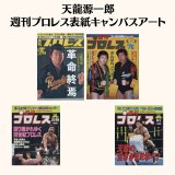 Mr.プロレス天龍源一郎 DVD-BOX - 天龍プロジェクト